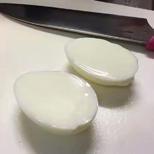 一只采取了避孕措施的鸡