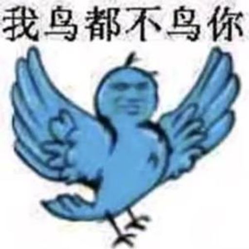我鸟都不鸟你